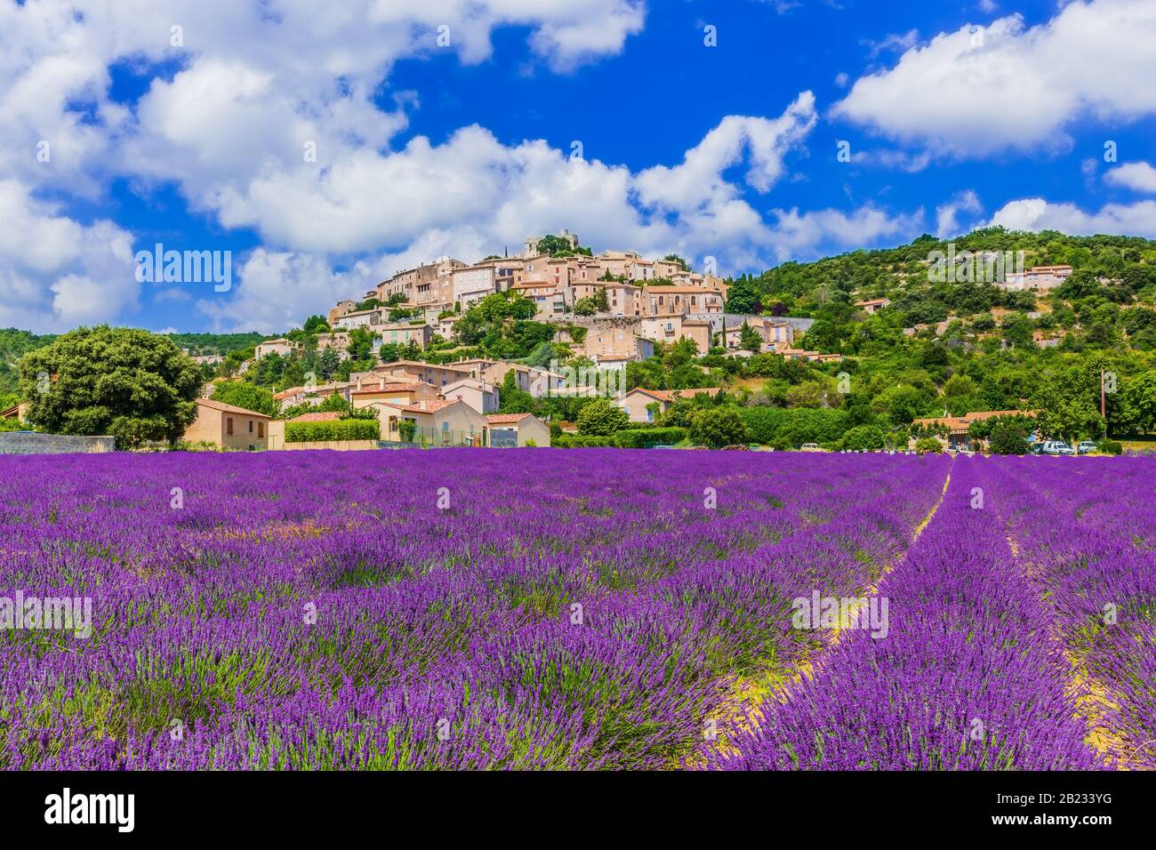 Simiane la Rotonde, France. Village perché en Provence avec les champs de lavande. Banque D'Images