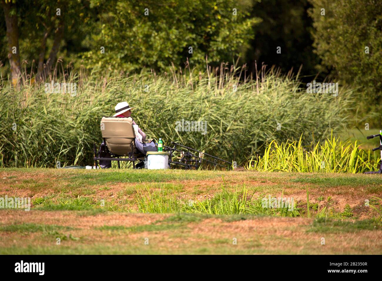 Une pêche à la ligne d'eau douce pour la carpe le jour de l'été Banque D'Images