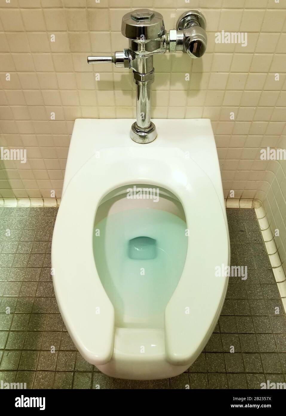 Un bol de toilettes propre avec de l'eau bleue Banque D'Images