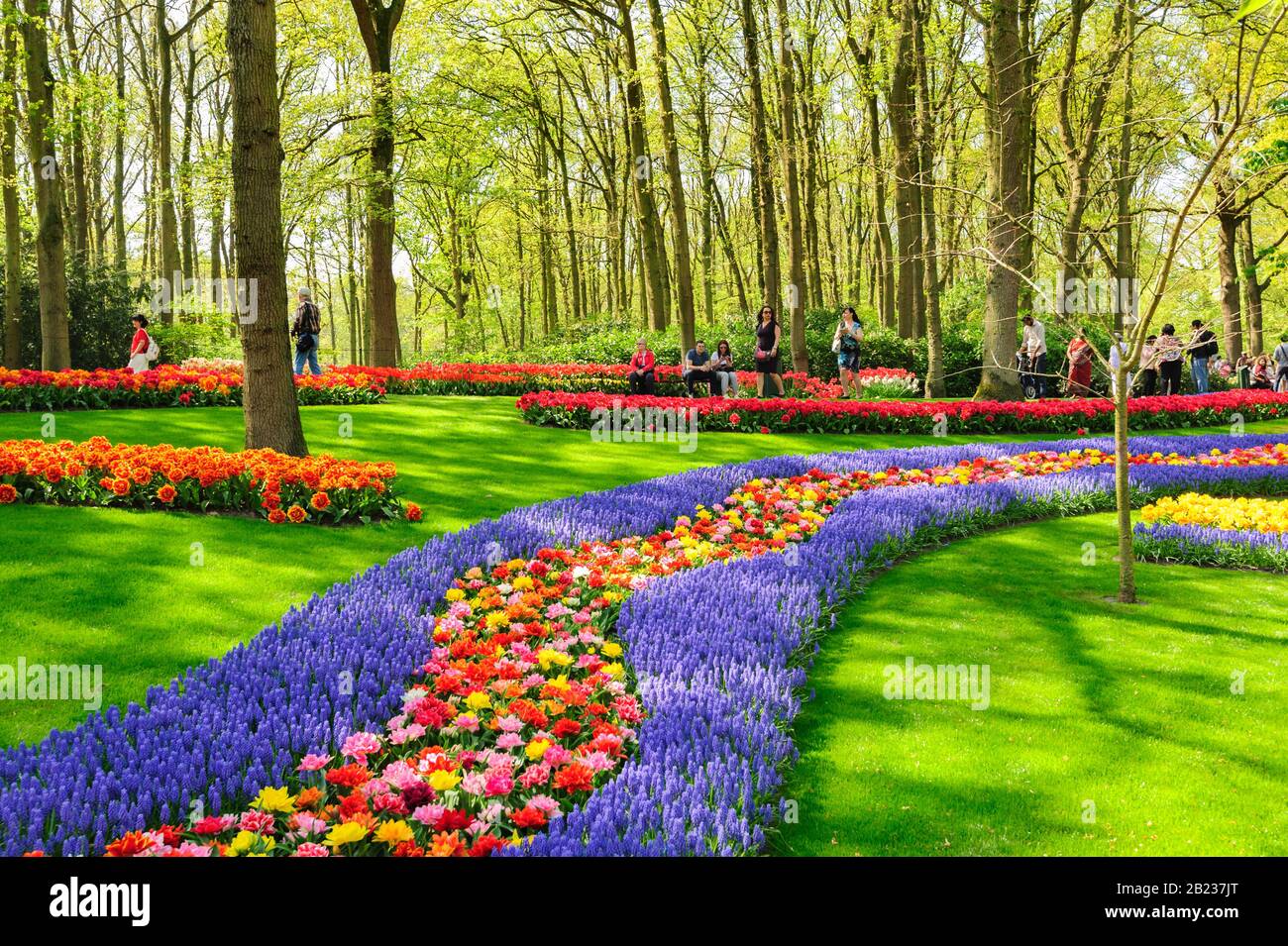 Fleurs de jardins de Keukenhof à Lisse, Pays Bas Photo Stock - Alamy