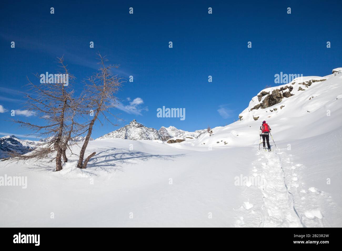 Valmalenco (IT) - randonnée en raquettes dans la neige fraîche Banque D'Images