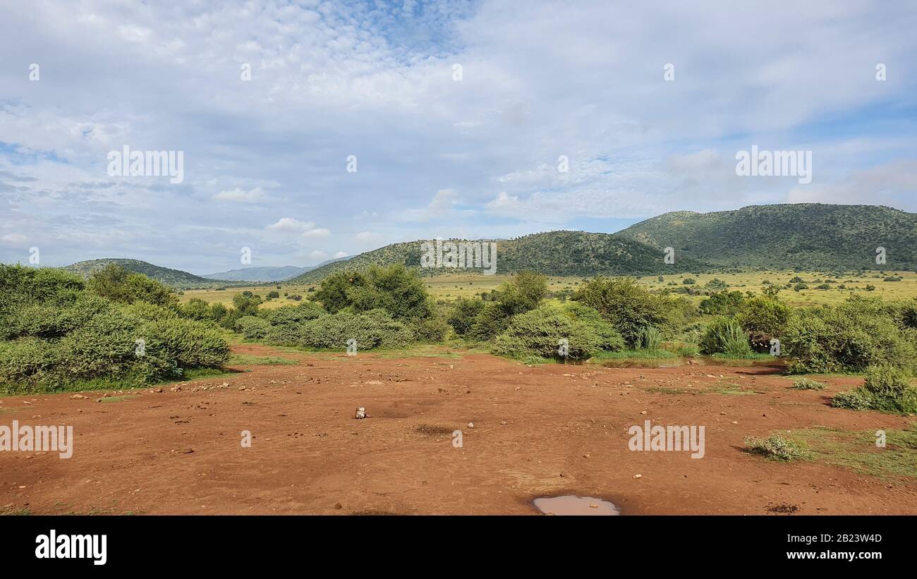 Photo de paysage sud-africain avec montagnes en arrière-plan et belle nature en premier plan Banque D'Images