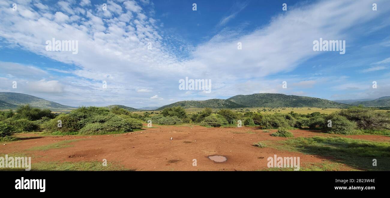 Photo de paysage sud-africain avec montagnes en arrière-plan et belle nature en premier plan Banque D'Images