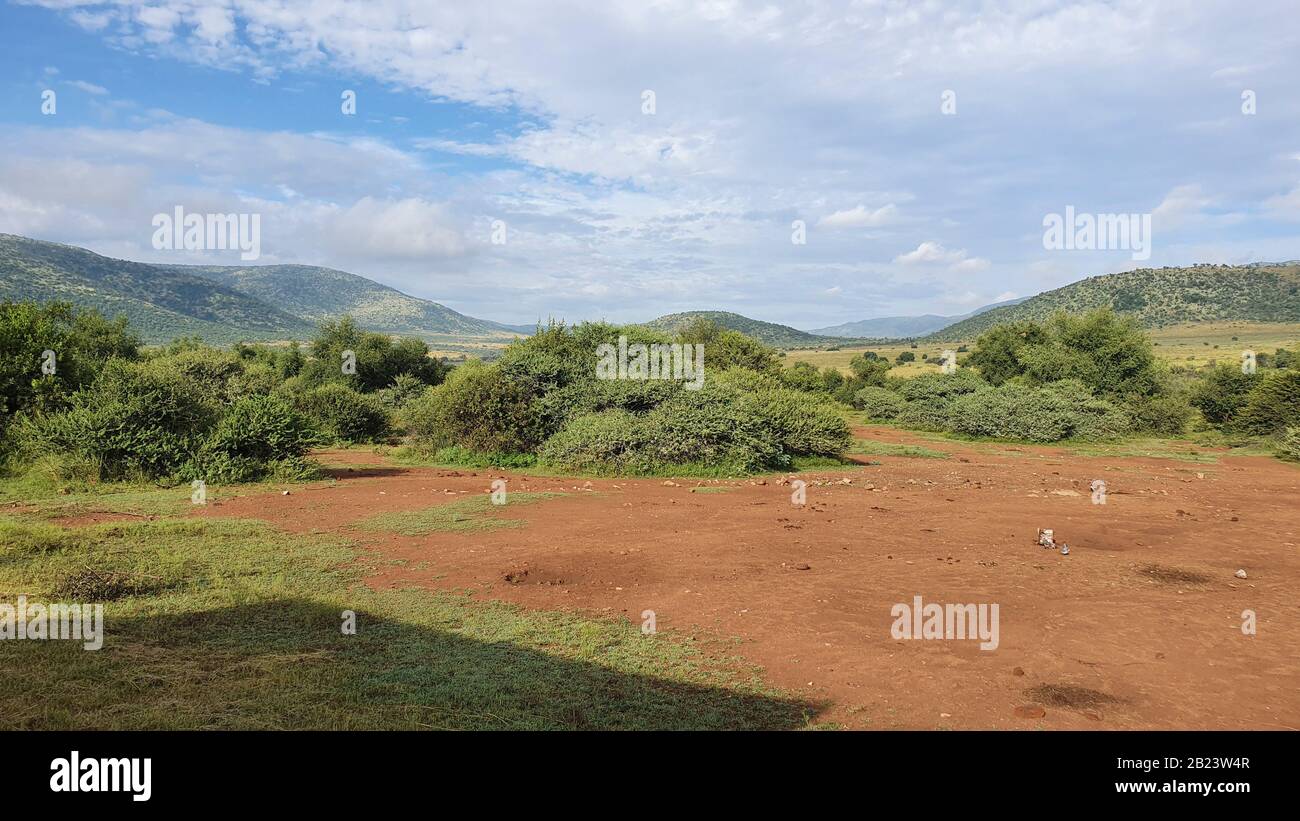 Photo de paysage sud-africain avec montagnes en arrière-plan et belle nature en premier plan Banque D'Images