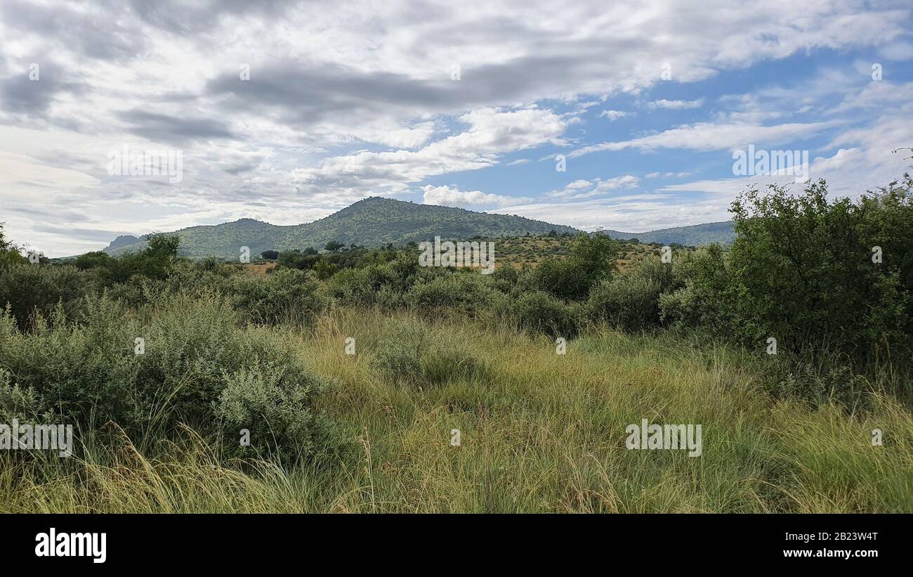 Photo de paysage sud-africain avec montagnes en arrière-plan et belle nature en premier plan Banque D'Images