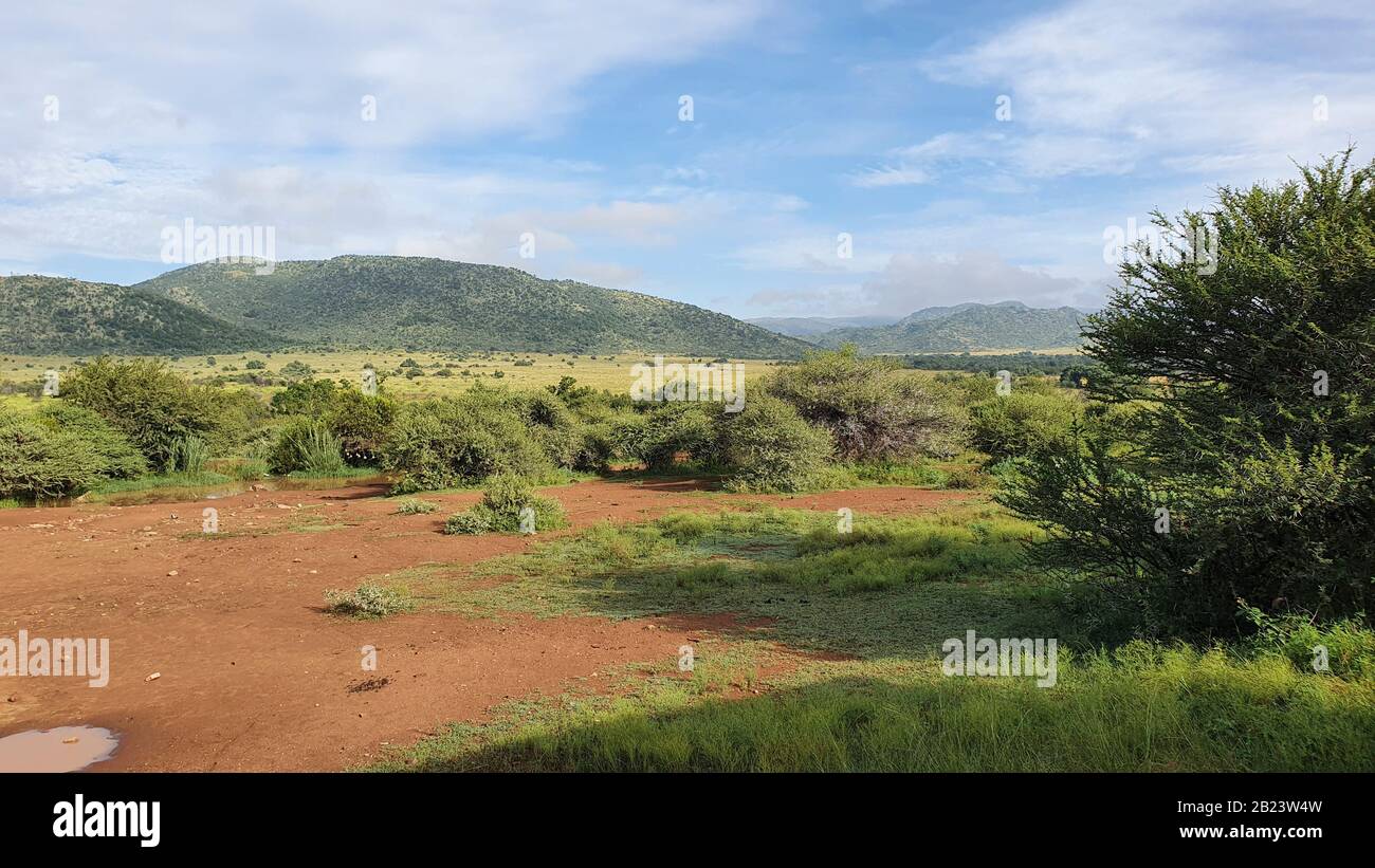 Photo de paysage sud-africain avec montagnes en arrière-plan et belle nature en premier plan Banque D'Images