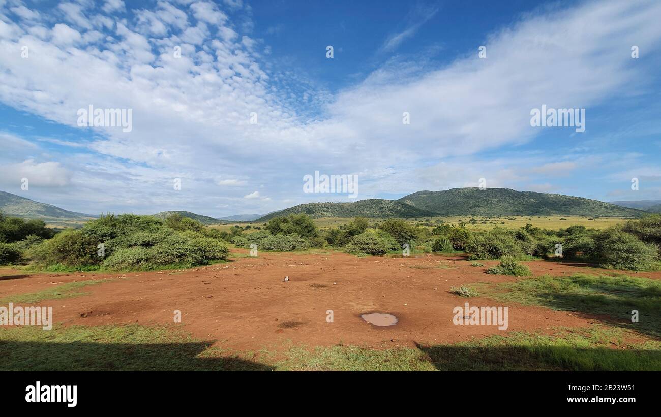 Photo de paysage sud-africain avec montagnes en arrière-plan et belle nature en premier plan Banque D'Images