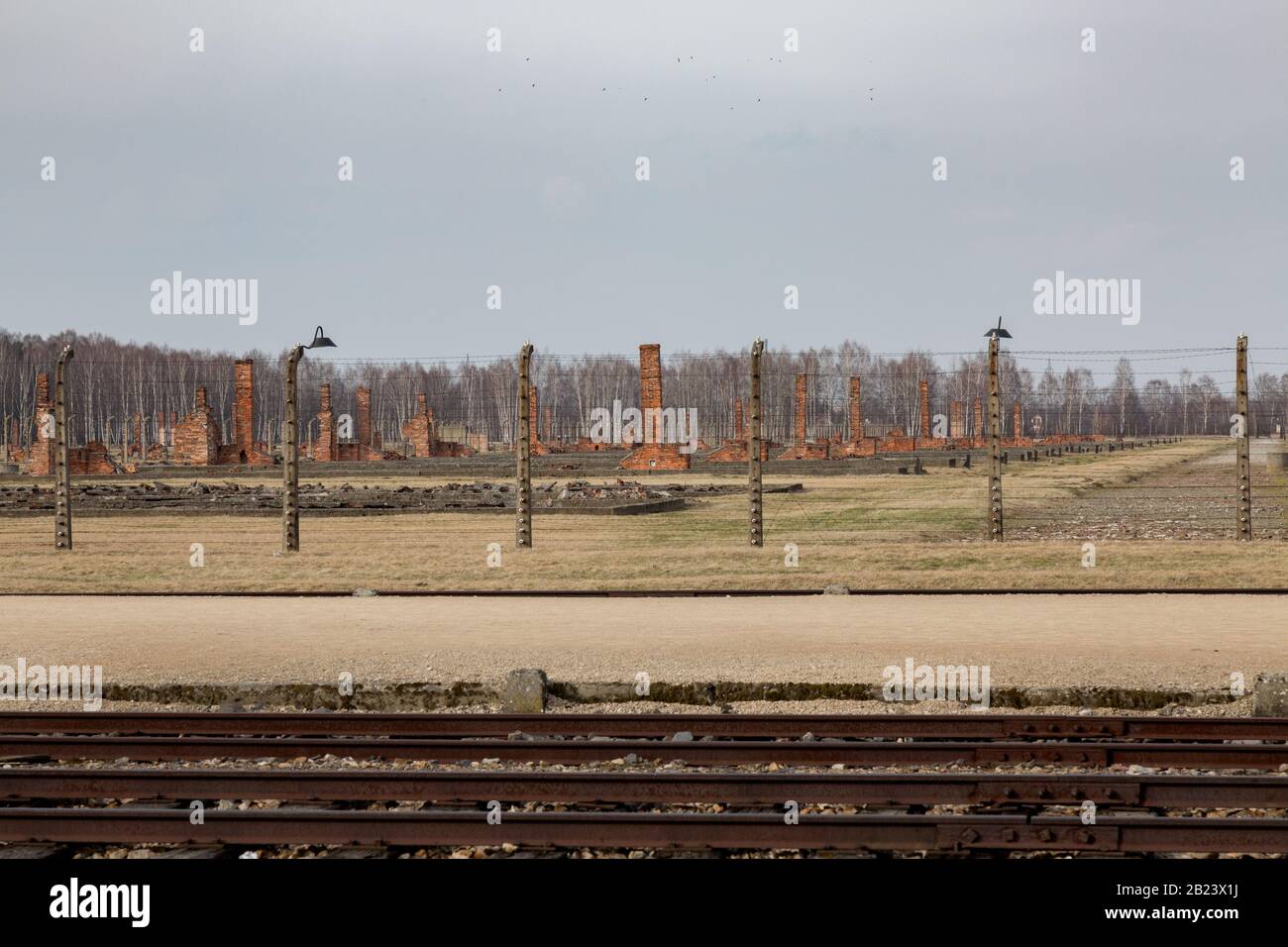 Auschwitz - Musée Birkenau et Mémorial des Camps nazis de la seconde Guerre mondiale Banque D'Images