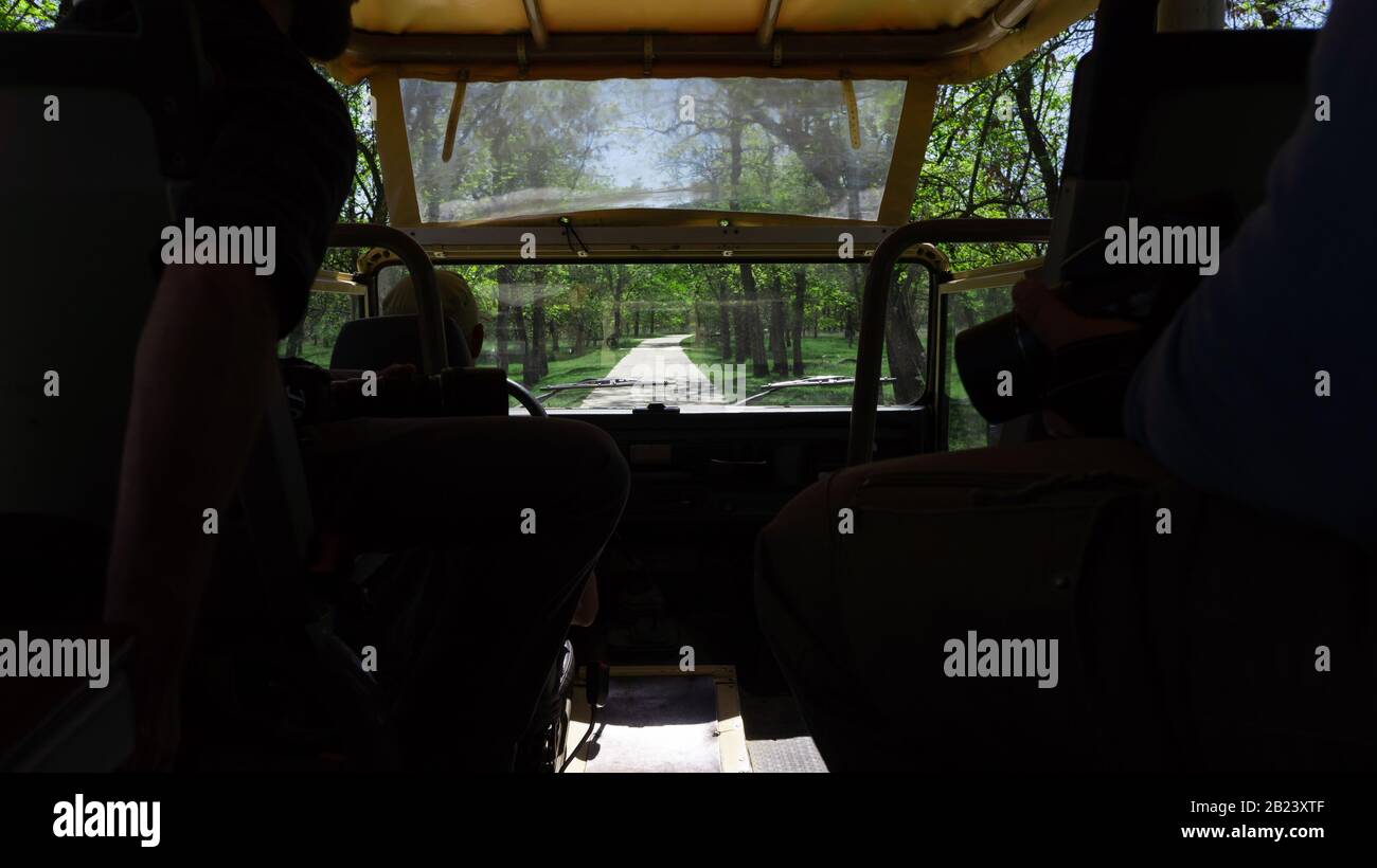 les jeunes photographes conduisent une voiture tout-terrain dans une forêt Banque D'Images