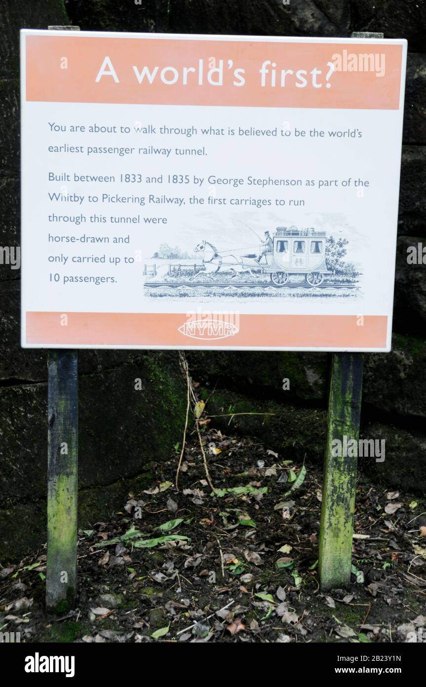 Le premier au monde – le plus ancien tunnel ferroviaire de trains de voyageurs à Grossmont dans le nord du Yorkshire, en Grande-Bretagne. Le tunnel fait partie du Yorkshire du Nord Banque D'Images
