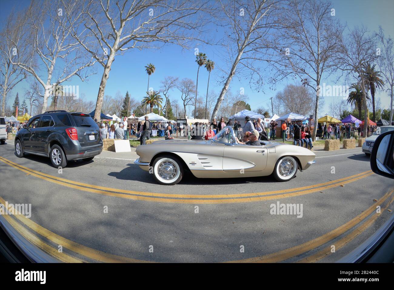 1962 Chevrolet Corvette sur la route 16, la route sans faire l'appoint lors d'une journée ensoleillée au festival d'Esparto, en Californie centrale, Almond Festival Banque D'Images