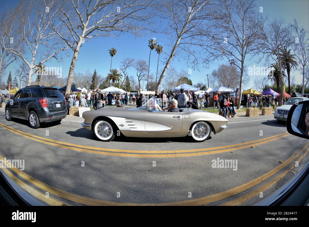 1962 Chevrolet Corvette sur la route 16, la route sans faire l'appoint lors d'une journée ensoleillée au festival d'Esparto, en Californie centrale, Almond Festival Banque D'Images