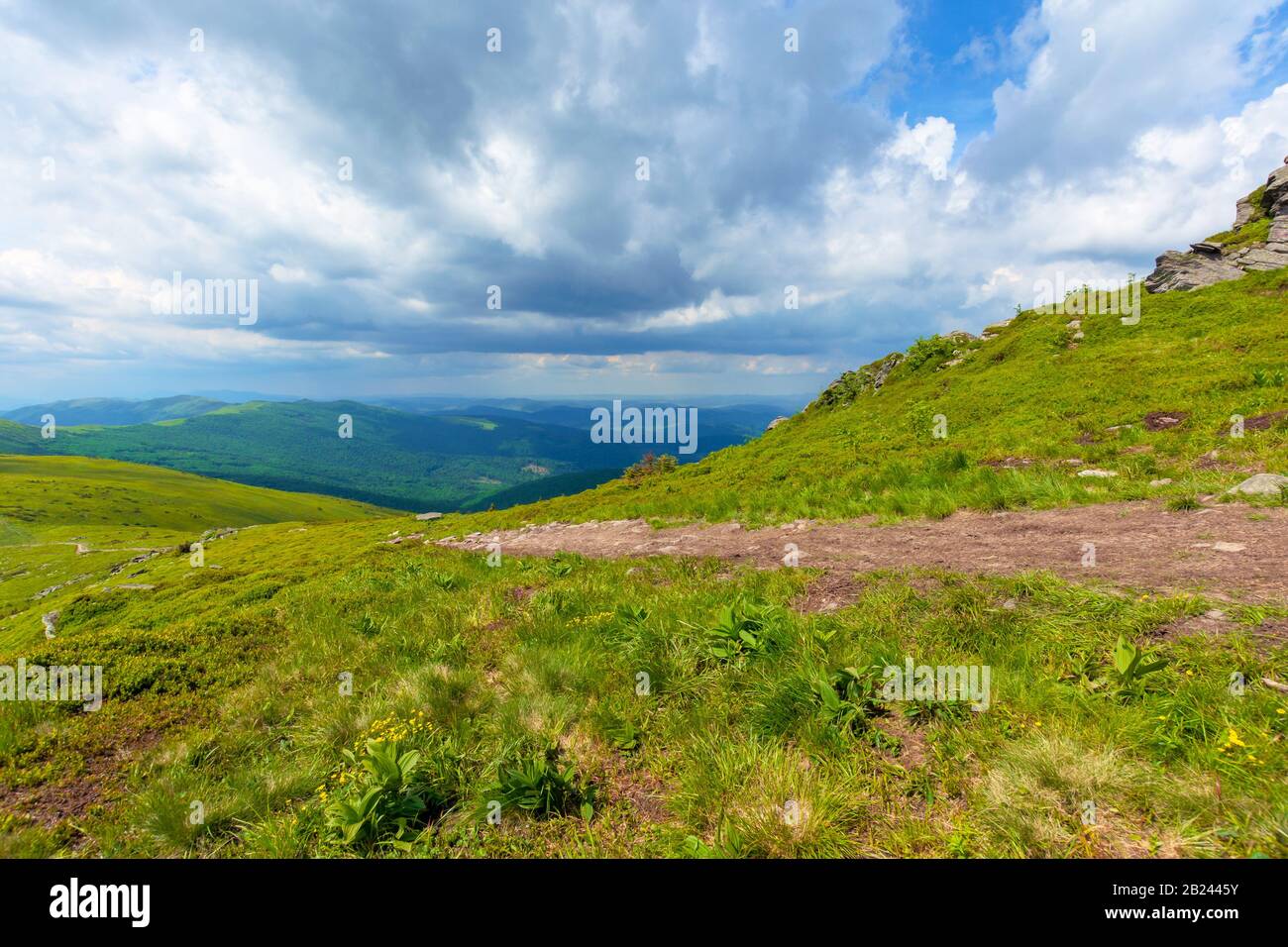chemin à travers la chaîne de montagne. belles prairies alpines du paysage de carpathe, un jour nuageux en été. partage de la crête du bassin versant Banque D'Images