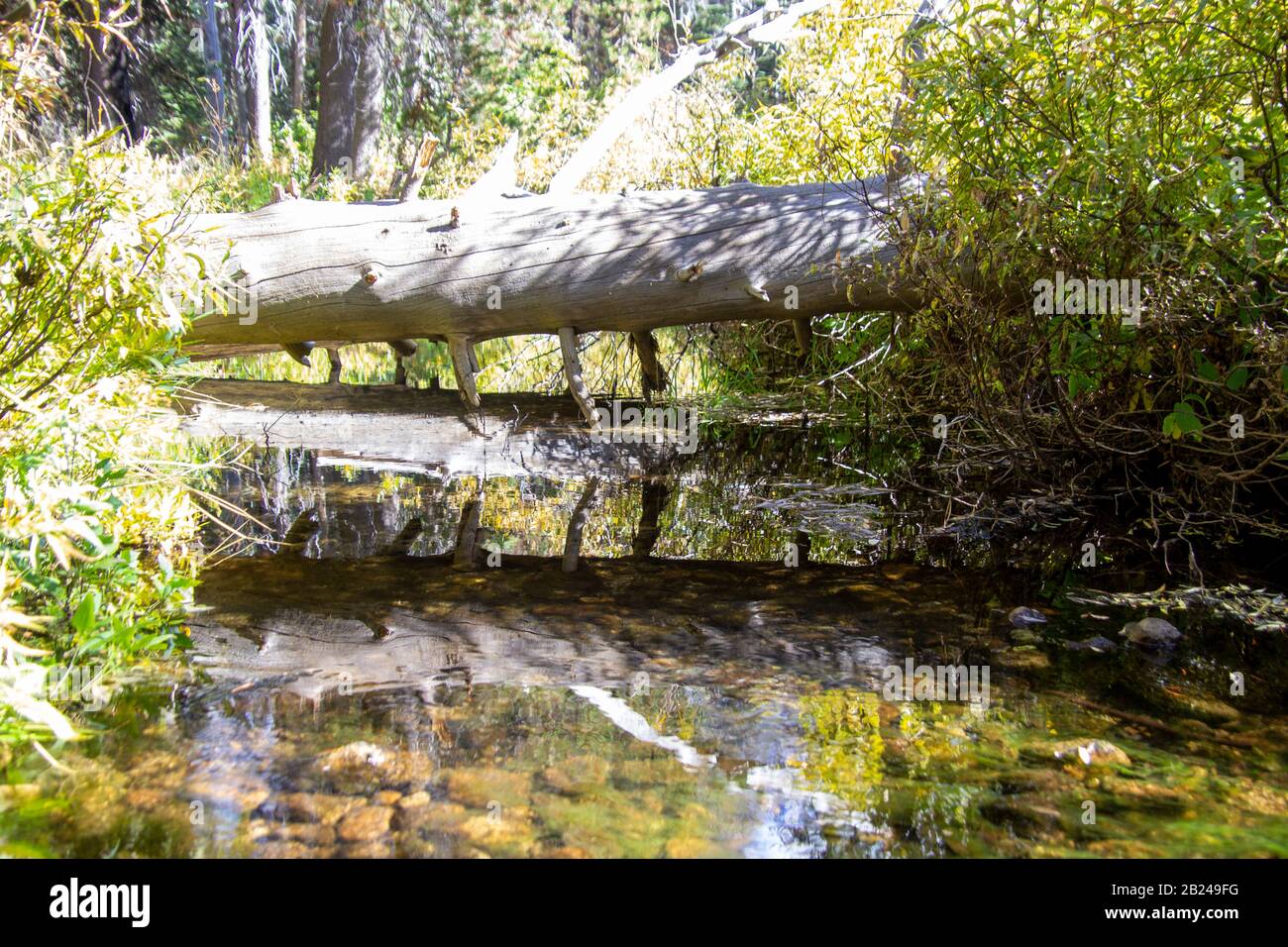 Yosemite automne 2019 Banque D'Images