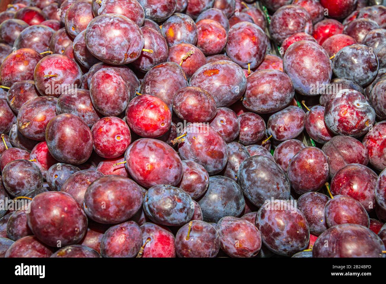 Nourriture antioxydante haute énergie, santé booster juteux prunes super fruits en vente sur le marché local des fruits. Nutrition concept de santé. Banque D'Images