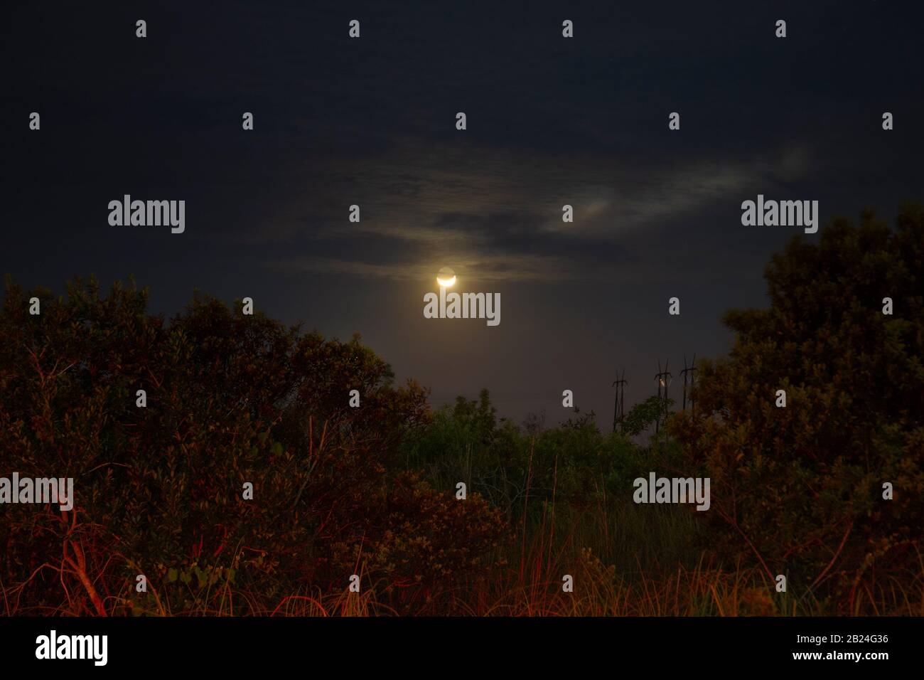 Une lune de croissant commence à descendre vers l'horizon dans les Everglades de Floride. Banque D'Images