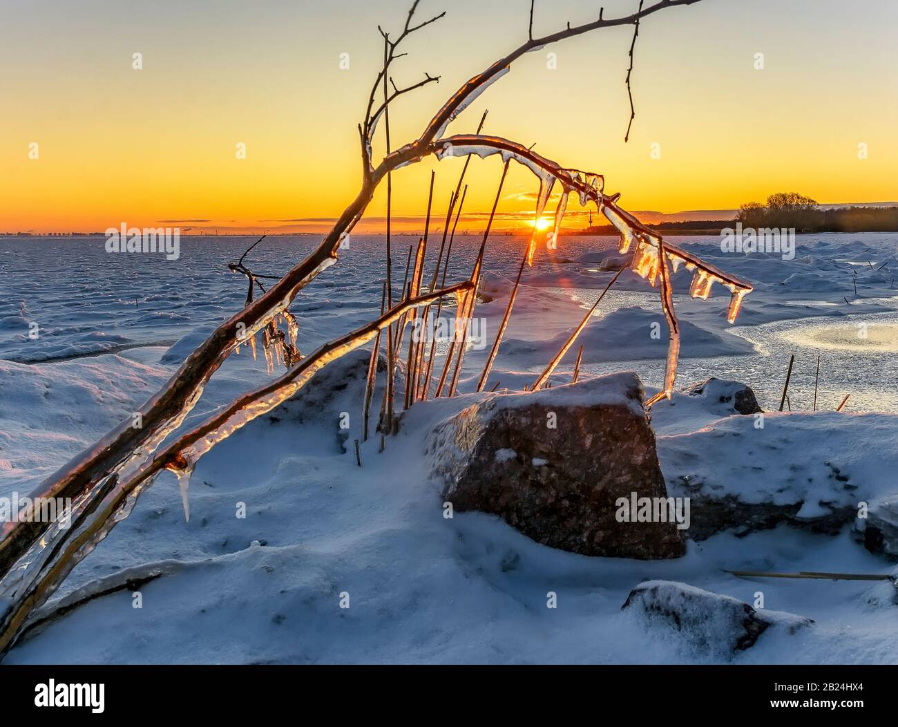 Journée ensoleillée 29 février 2020 sur les rives du golfe de Finlande. Banque D'Images