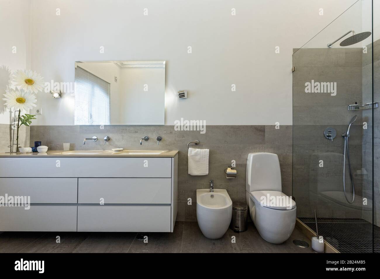 Chambres élégantes avec douche et baignoire dans un décor contemporain Banque D'Images