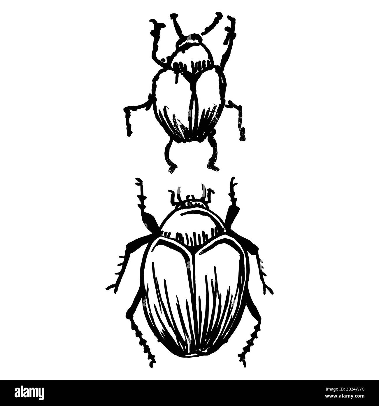 Mignonne bande dessinée deux clipart vecteur de coléoptères géants de fruits. Insecte nuisible pour le jardin. Caniche naive d'arthropodes d'insectes biologiques ailés. Doodle de la faune de la cour Illustration de Vecteur