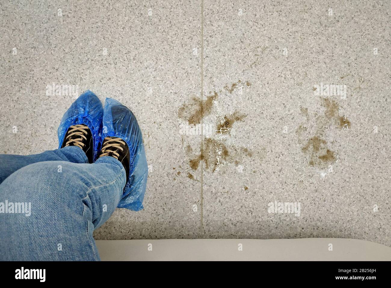 Jambes en chaussures bleues couvre la vue de dessus. Couvre-chaussures sur les bottes et les flaques de boue à côté du sol. Le concept de l'obligation de mettre les surchaussures à p Banque D'Images