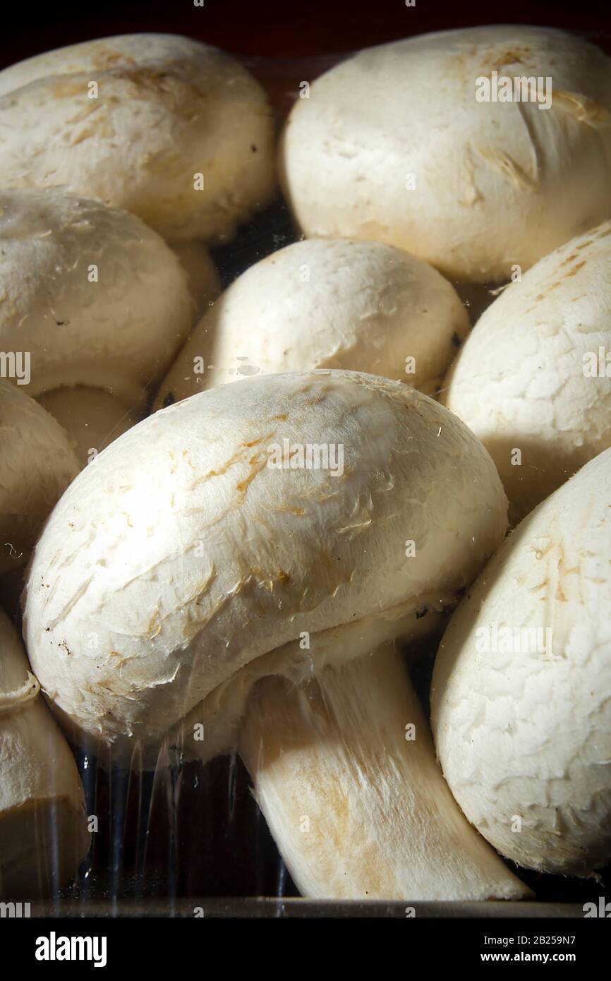 Champignons chamignon frais sur un plateau noir Banque D'Images