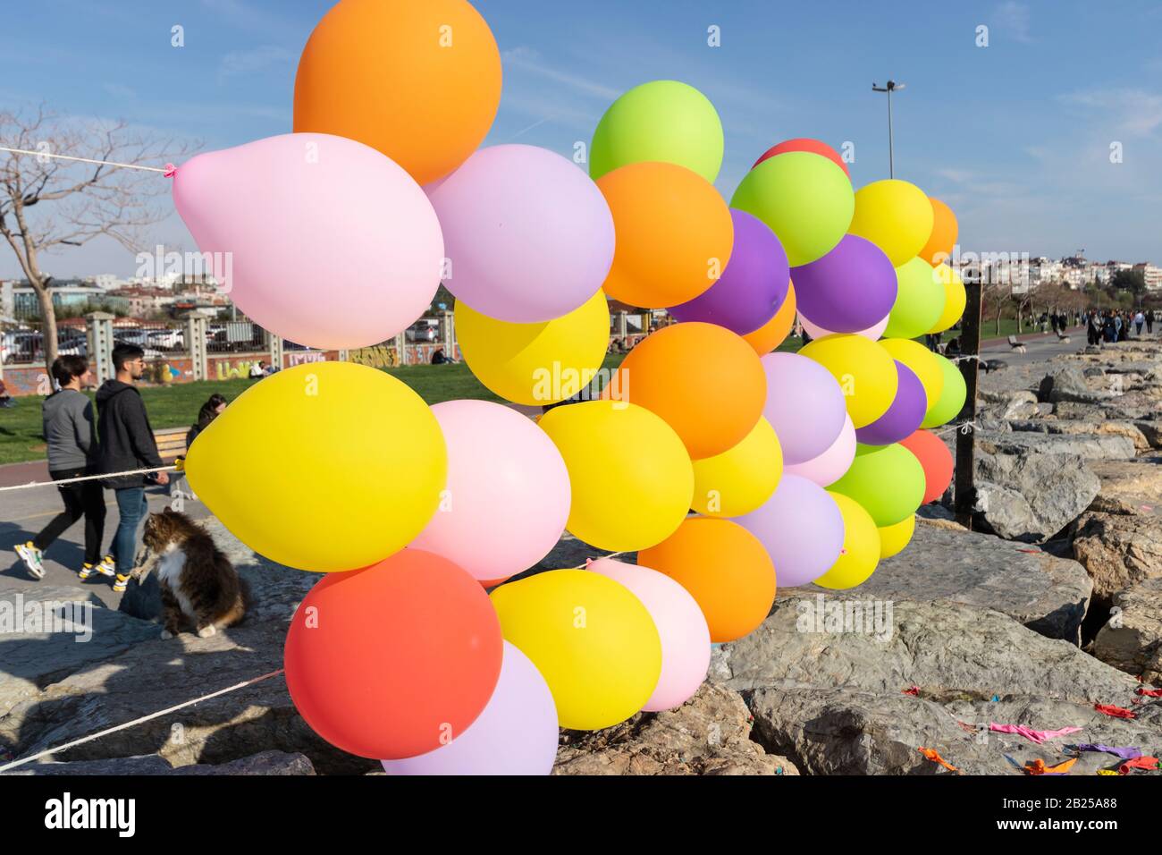 Ballons colorés accrochés sur les cordes sur les poteaux en bois. Il est  utilisé pour le jeu de souffle de ballon. Gros plan Photo Stock - Alamy