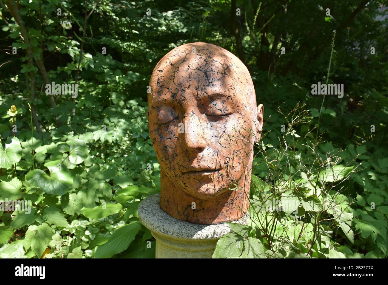 Sculpture de tête de couchage et fissurée dans le jardin Banque D'Images