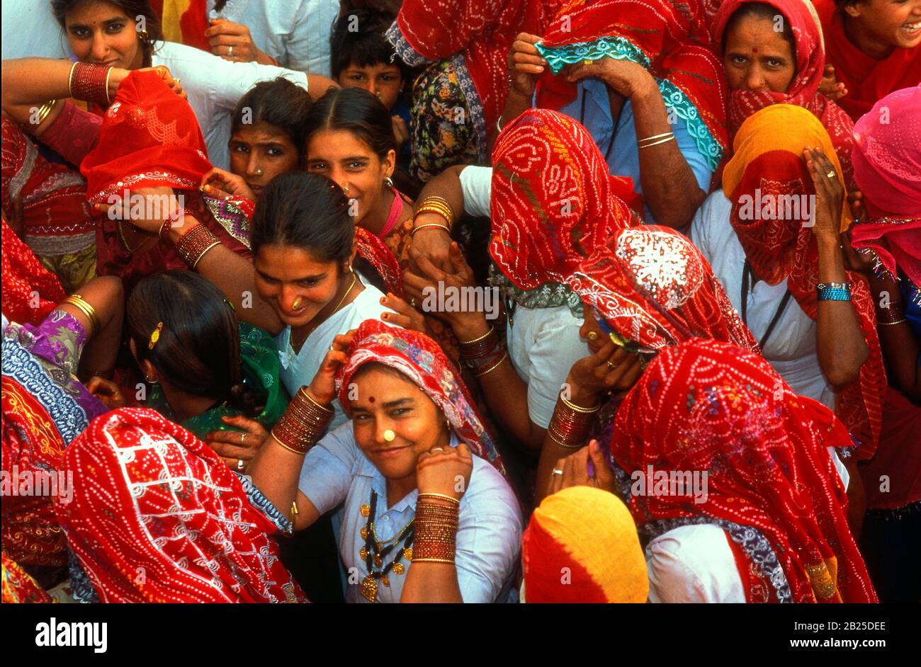 Mariage indien au Rajasthan, Inde Banque D'Images