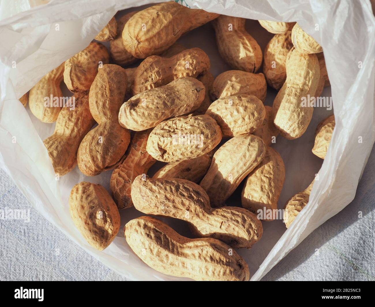 Cacacacahuètes (Arachis hypogaea) dans un sac en plastique Banque D'Images