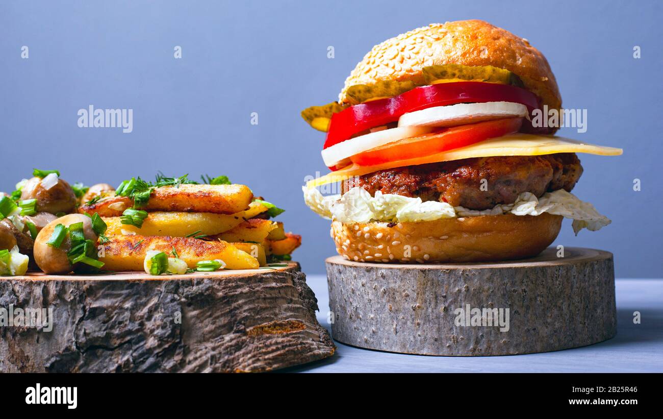 délicieux hamburger avec légumes et fromage à la viande avec pain doux, frites et champignons chamignons saupoudrés d'oignons verts sur un coa en bois forestier Banque D'Images