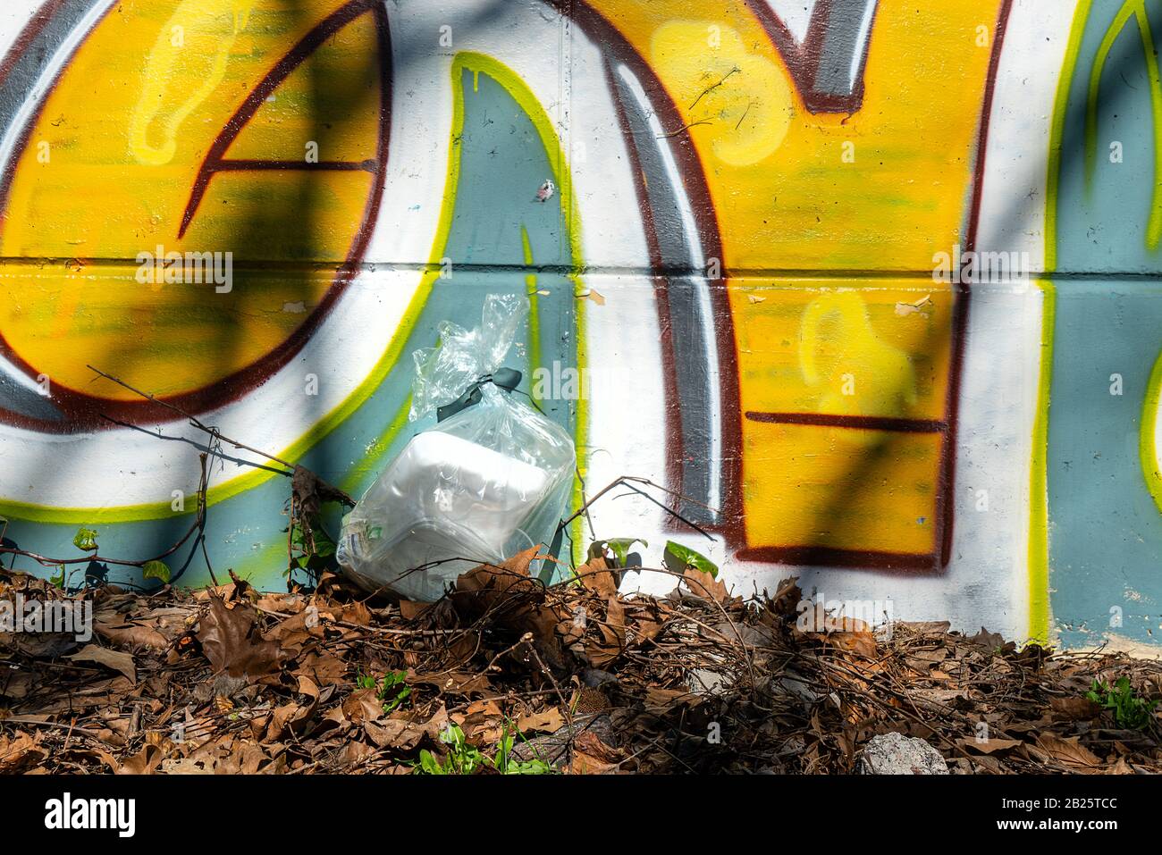 Beaucoup de déchets abandonnés sur le terrain dans le parc Banque D'Images