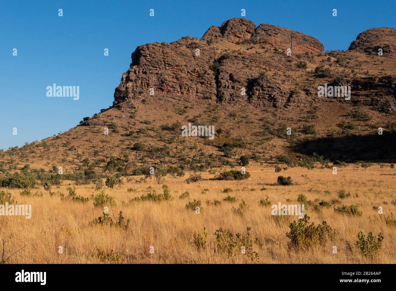 Falaises De Grès De Waterberg, Parc National De Marakele, Waterberg, Afrique Du Sud Banque D'Images