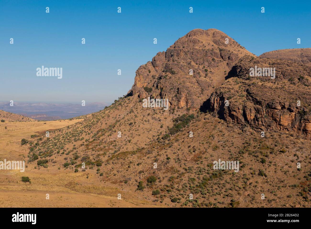 Falaises De Grès De Waterberg, Parc National De Marakele, Waterberg, Afrique Du Sud Banque D'Images