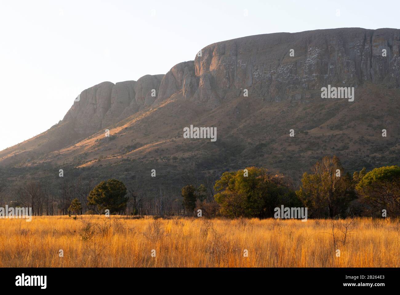 Falaises De Grès De Waterberg, Parc National De Marakele, Waterberg, Afrique Du Sud Banque D'Images