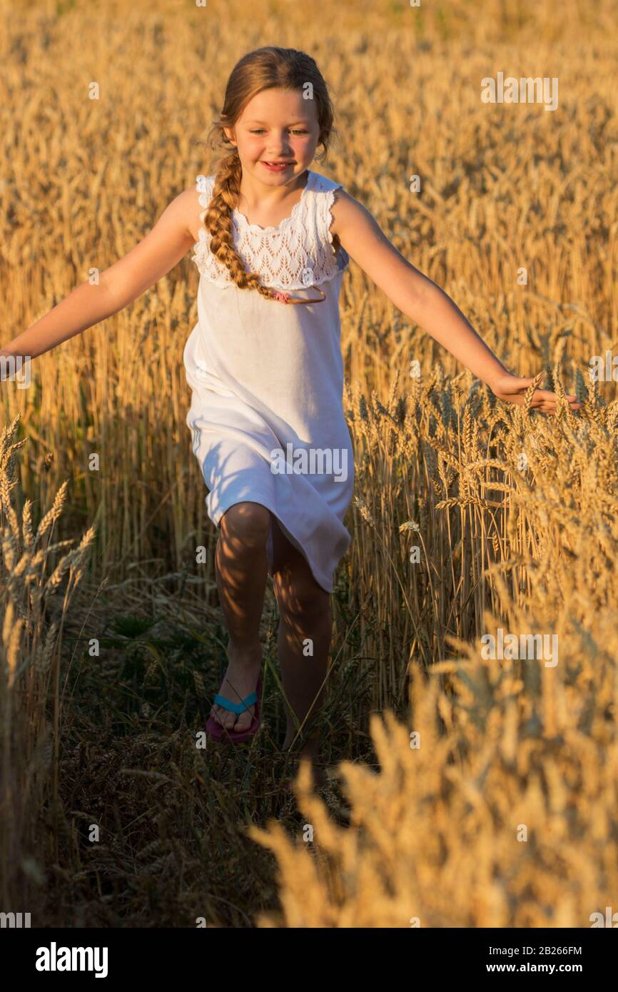 Fille sur un champ de blé Banque D'Images