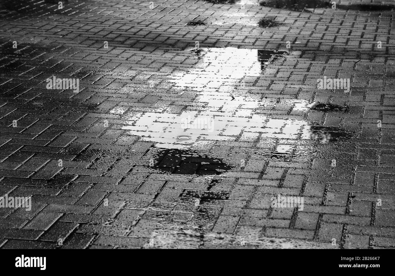 Pluie humide de rue, changement climatique, texture Banque D'Images