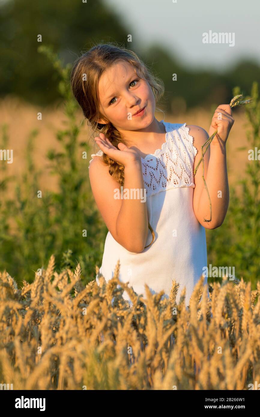 Fille sur un champ de blé Banque D'Images