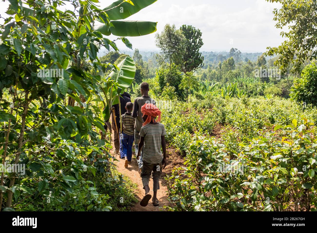 Les Éthiopiens locaux traversent la végétation et les terres agricoles dans le sud rural de l'Éthiopie Banque D'Images