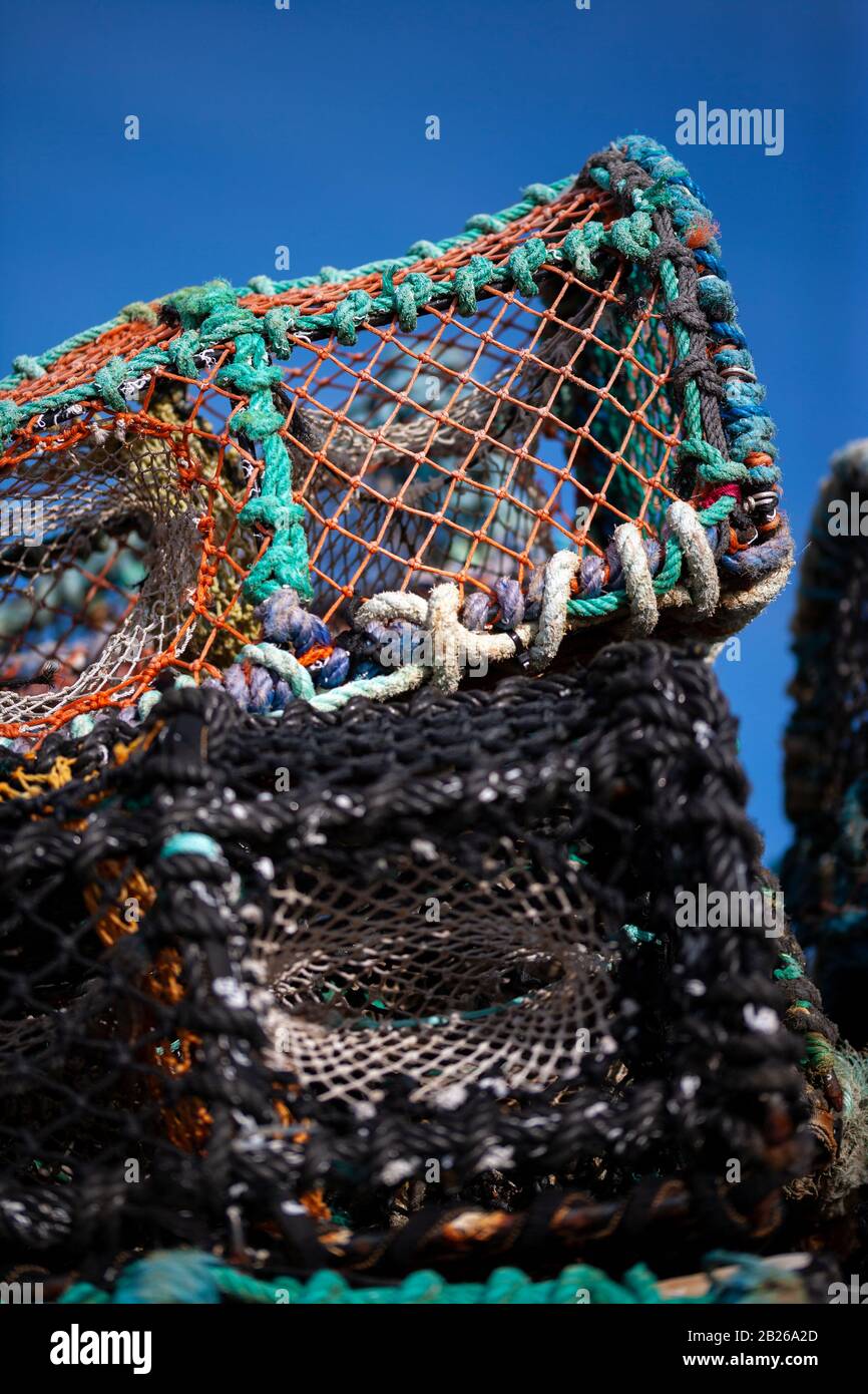 Homards, Port De Portmagee, Comté De Kerry, Irlande Banque D'Images