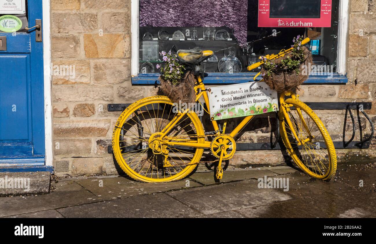 Location peints en jaune avec des paniers de fleurs à Middleton en Angleterre,Teesdale,UK Banque D'Images Location peints en jaune avec des paniers de fleurs à Middleton en Angleterre,Teesdale,UK Banque D'Images
