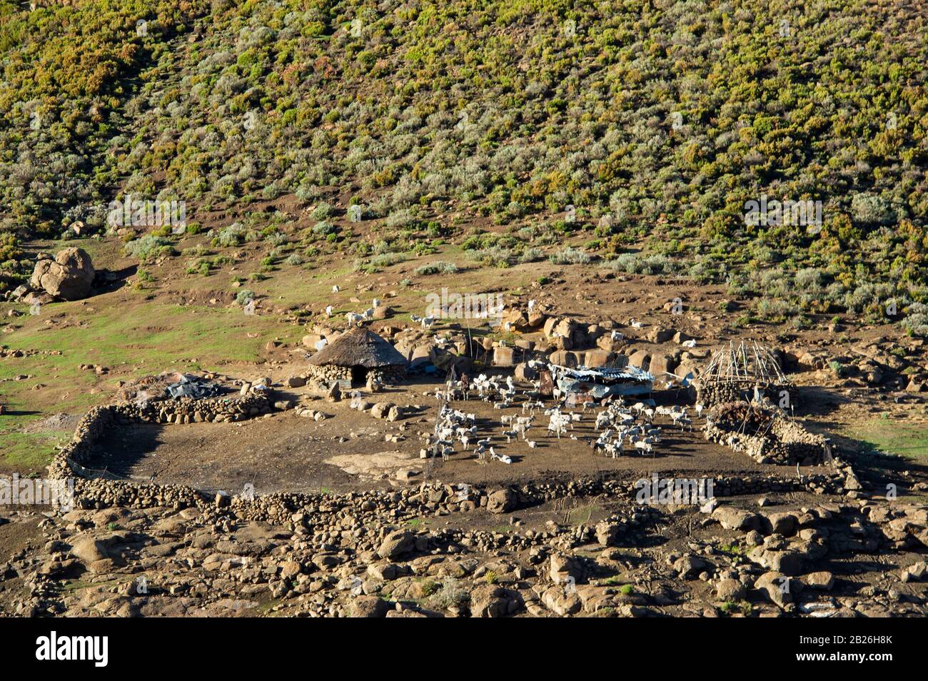 Kraal du mouton du Basotho, Lesotho Banque D'Images