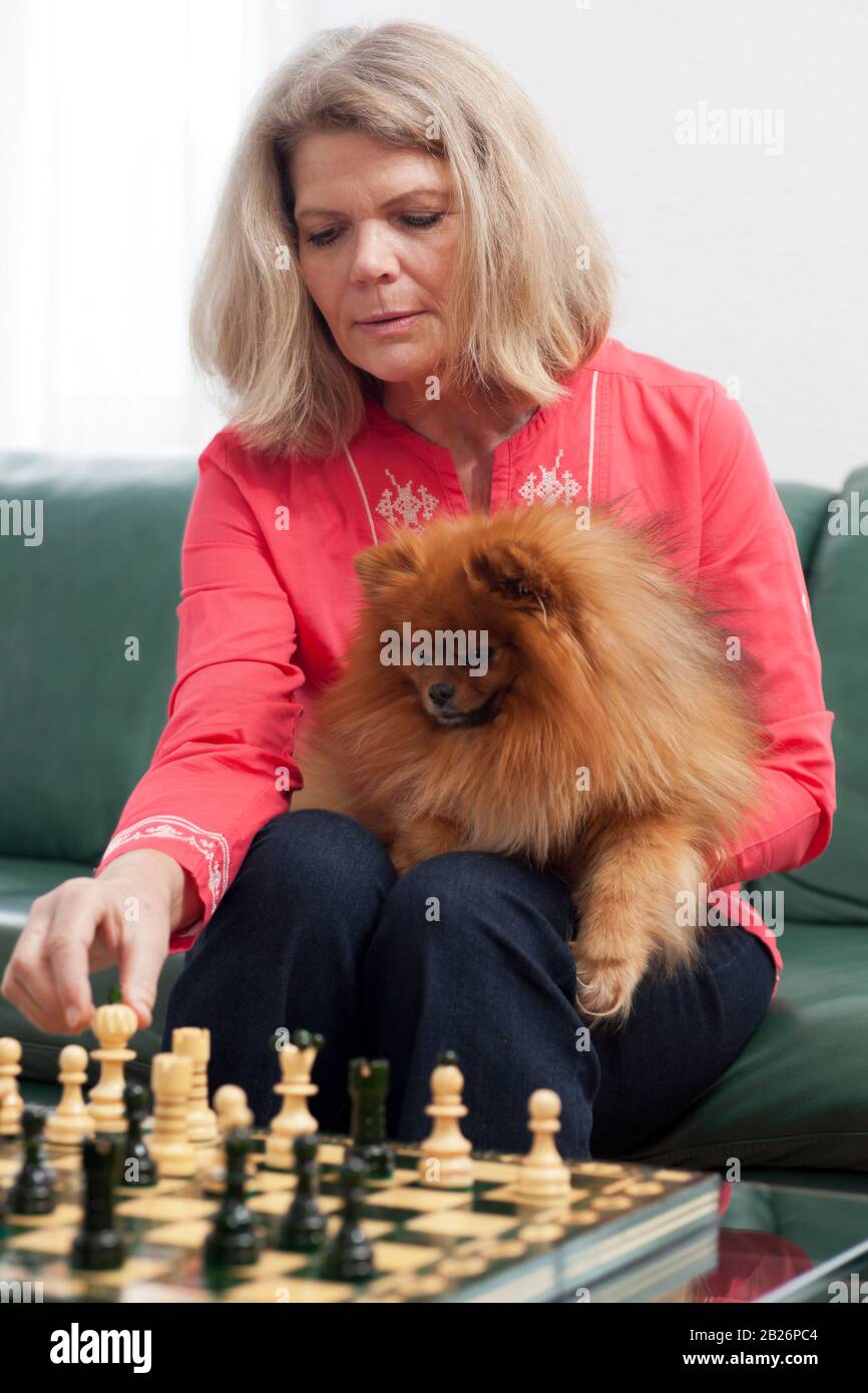 Femme mûre jouant aux échecs avec chien dans ses bras Banque D'Images