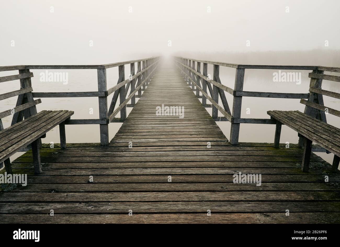 Lac "Federsee" À Bad Buchau, Allemagne. Promenade en bois et bancs en début de matinée avec un fort brouillard Banque D'Images