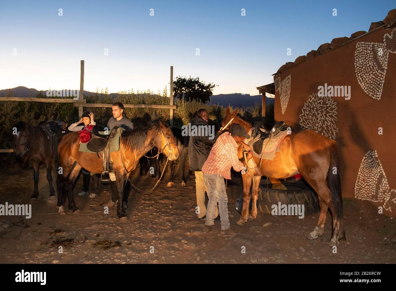 Préparation tôt le matin pour l'équitation, Malealea, Lesotho Banque D'Images