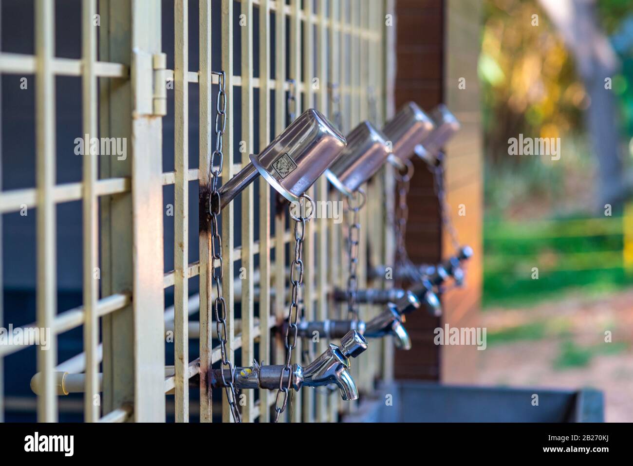 Tasse en métal réutilisable pour boire de l'eau avec fond flou, prise dans un parc à Mysore, en Inde Banque D'Images