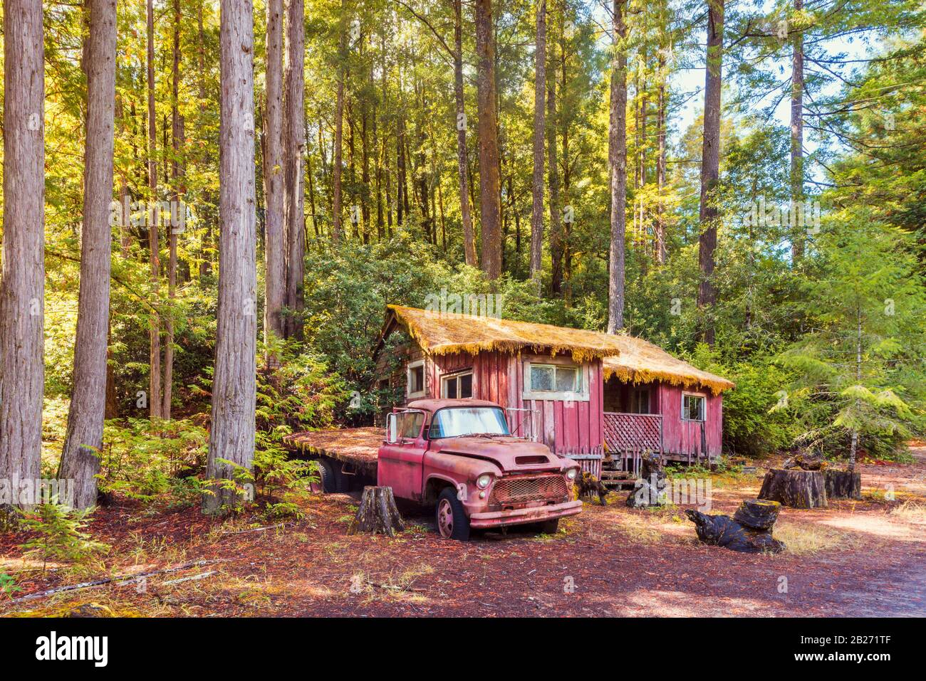 Abandonné Old Truck and Cabin in the Woods près du parc national de Redwood, Californie, États-Unis Banque D'Images