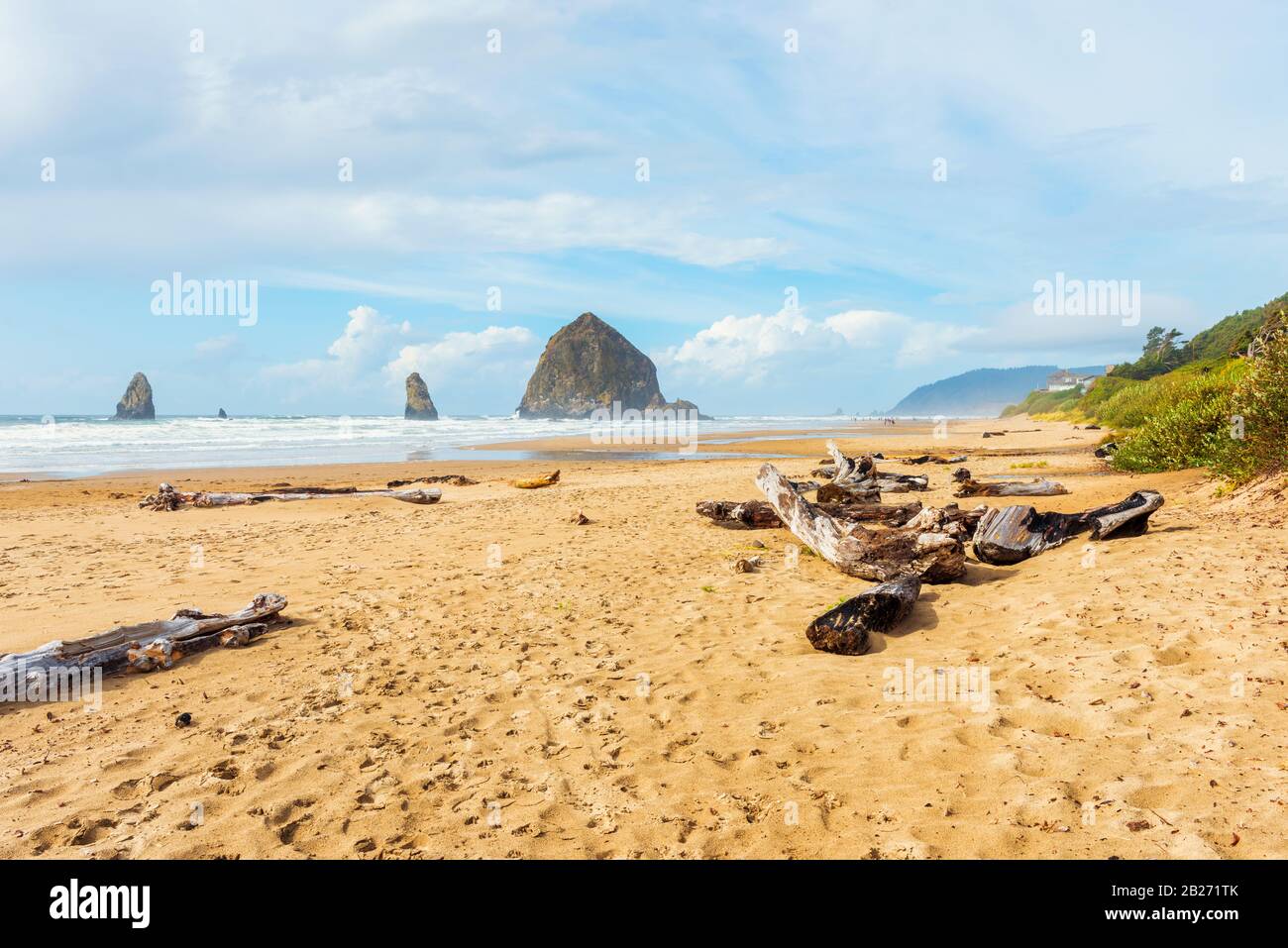 Driftwood sur la plage de Cannon Beach Oregon États-Unis Banque D'Images