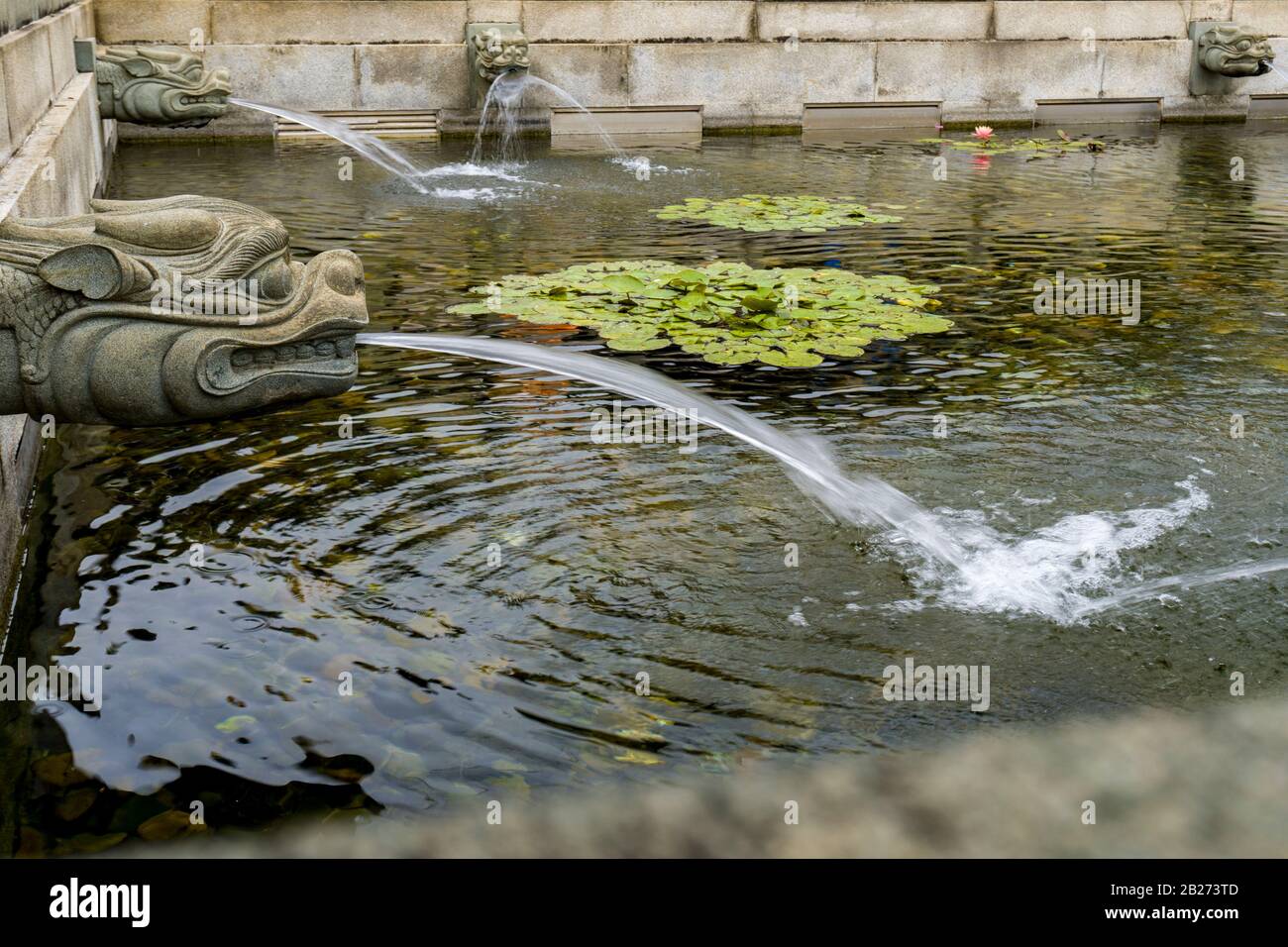 Sortie D'Eau, Spillway Waterfall Avec Sculpture Chinoise De Créature Dans Un Étang Chinois Traditionnel De Jardin, Vue Au Niveau Des Yeux Banque D'Images