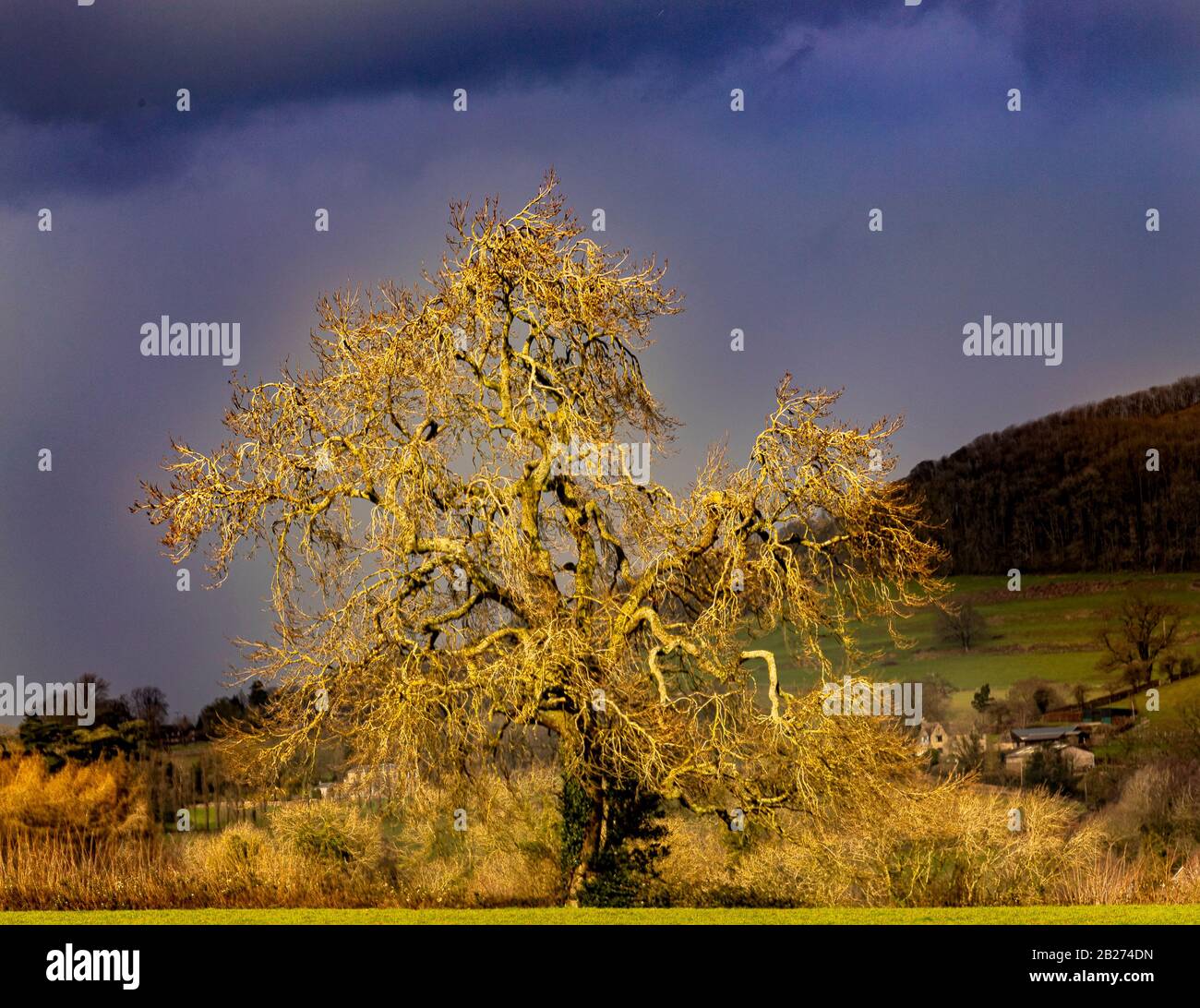 Paysages Des Cotswolds, Nord Nibley, Fond De Waterley Banque D'Images