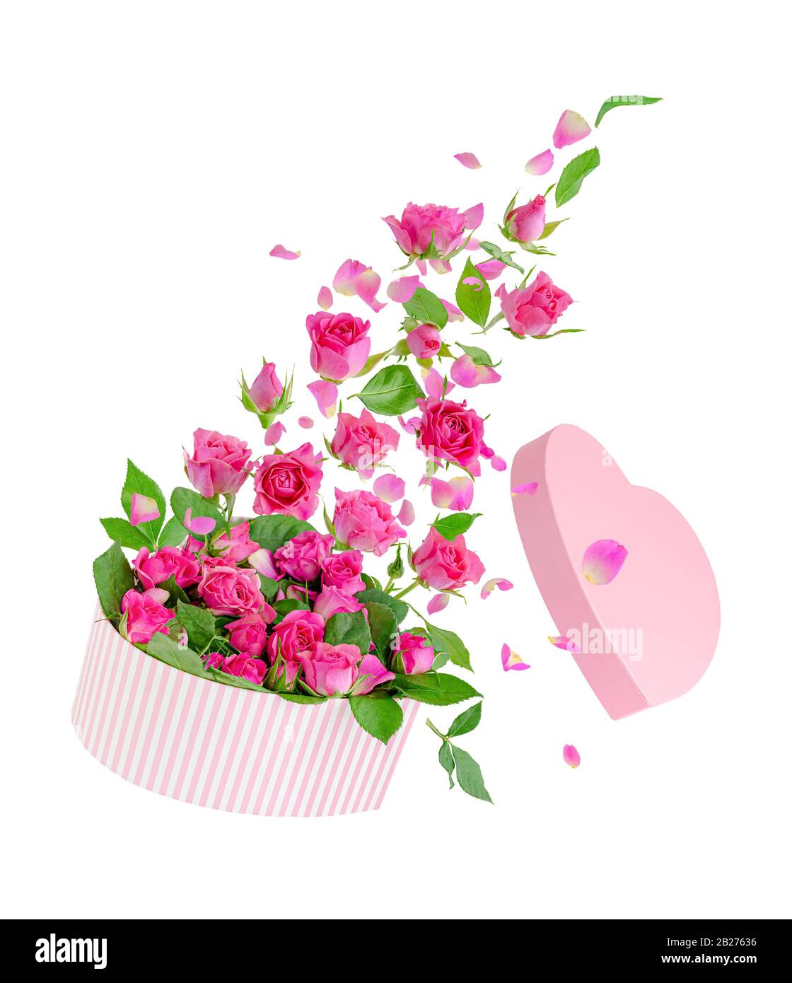 Roses roses qui sortent de la boîte à cadeaux flottante en forme de coeur. Isolé sur blanc. Concept de carte de vœux Banque D'Images